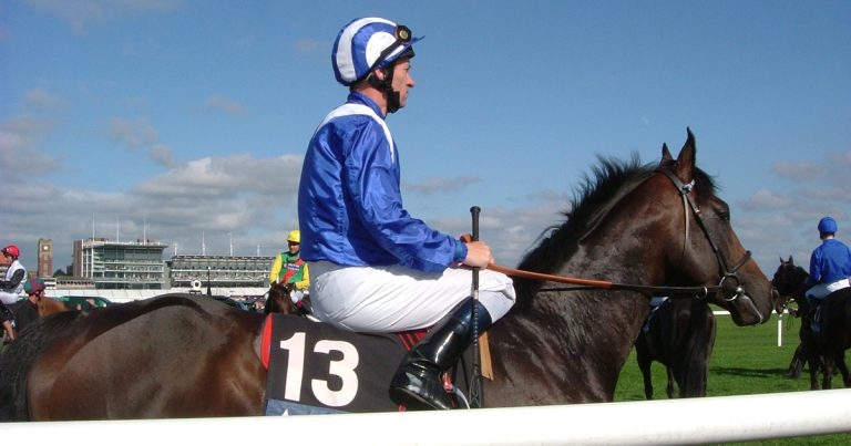 New research in equine performance predictions