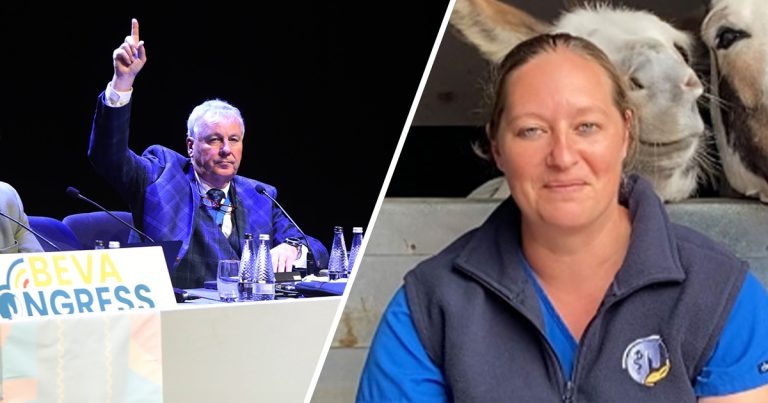 BEVA backs ‘landmark’ nurse vote and election reforms