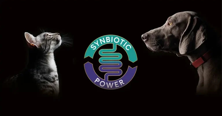 A synbiotic approach to gut health