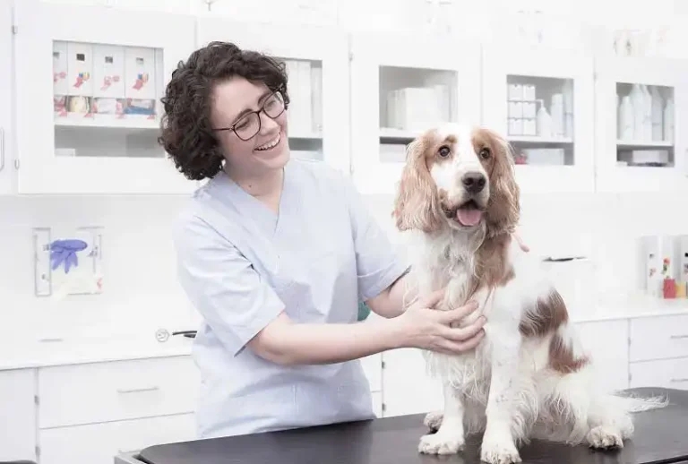 Everything you need, when you need it