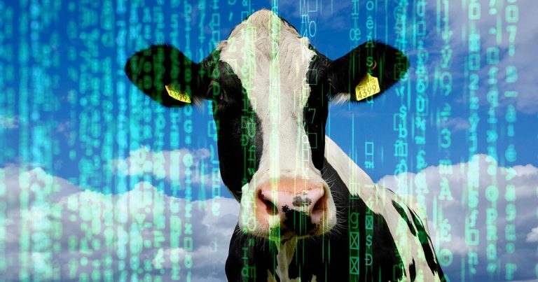Use of data in herd health planning for dairy farms