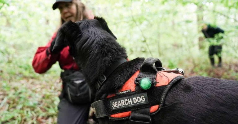 Independent practice sniffs out search and rescue organisation as its charity