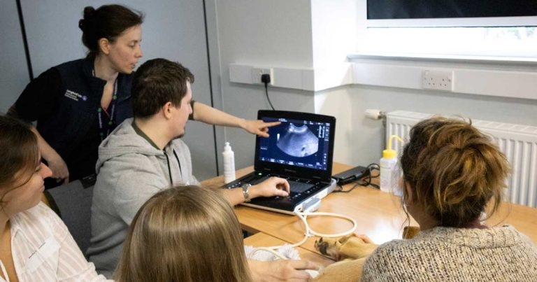 Langford Vets unveils plan for new subject interest groups