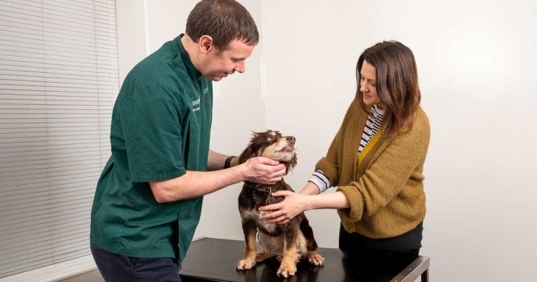 Cumbrian independent practice rolls out unlimited consult scheme