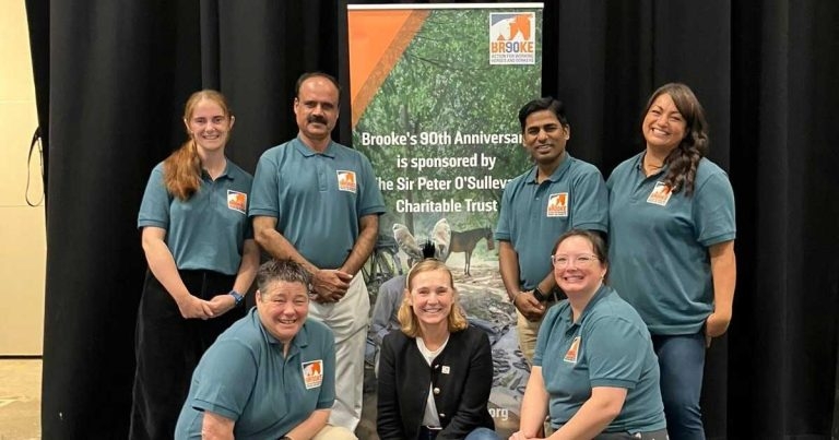 Charity vets make UK visit through scholarship programmes