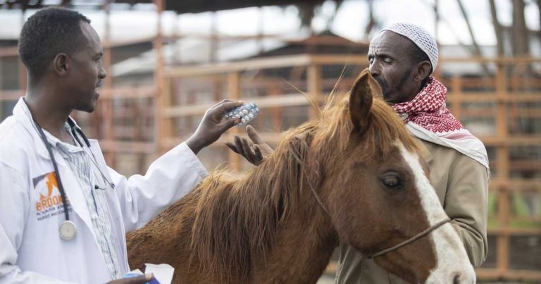 Brooke reveals plan for new Ethiopian veterinary clinics