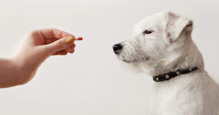 Responsible antibiotic usage: practical guide for clinicians