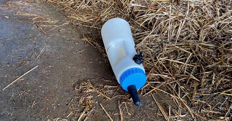 Importance hygiene plays in calf-feeding equipment