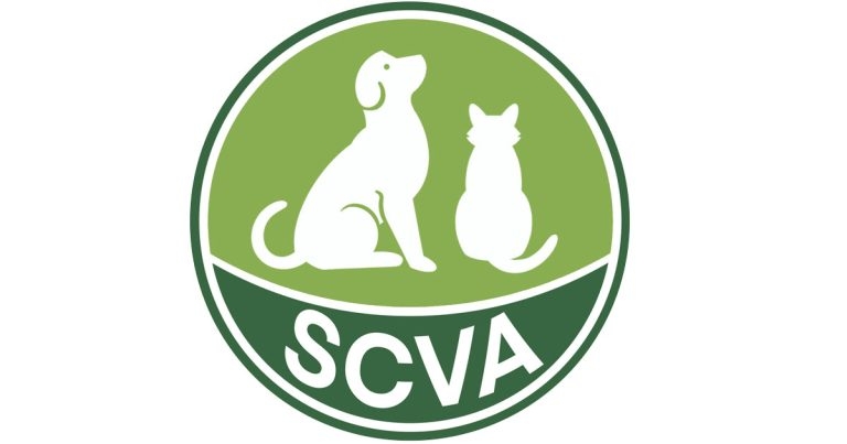 Charity vets group confirms name change
