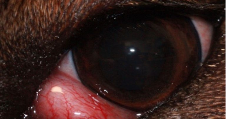 All eyes on evidence-based medicine as ‘barbaric’ practice reemerges