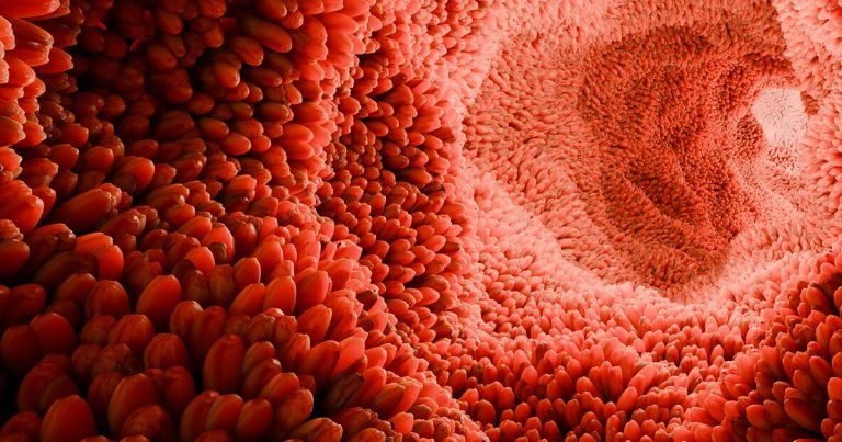 Purina to host fourth microbiome forum