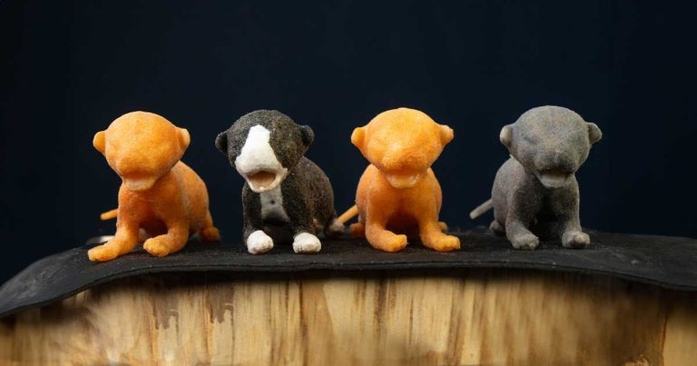 3D-printed model helps train neonatal kitten feeding