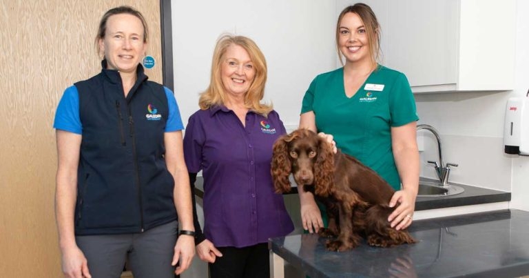 Play centre transformed into new practice