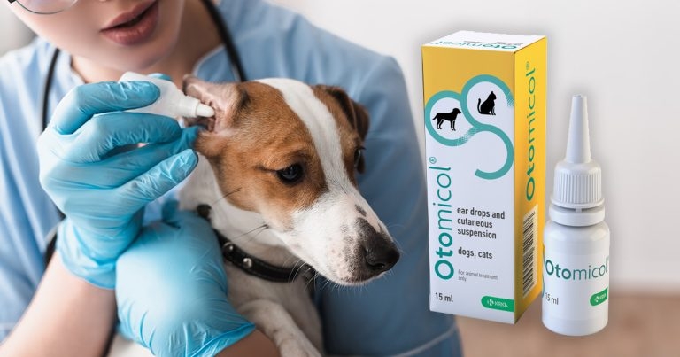 KRKA UK adds ear drops to product range