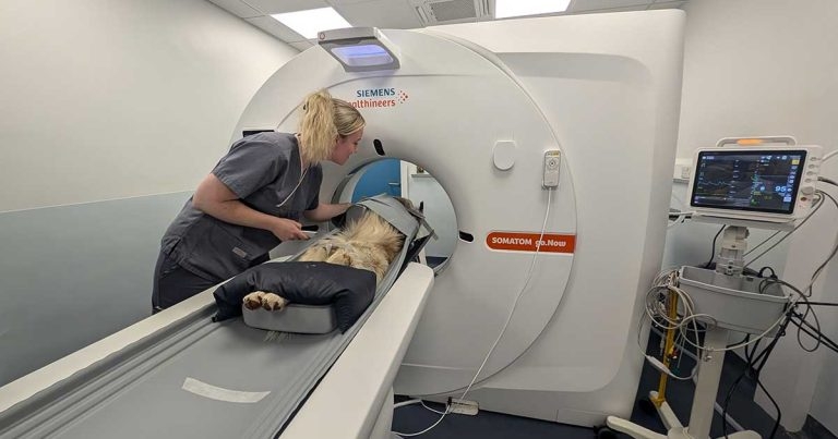 Independent practice invests in CT scanner technology
