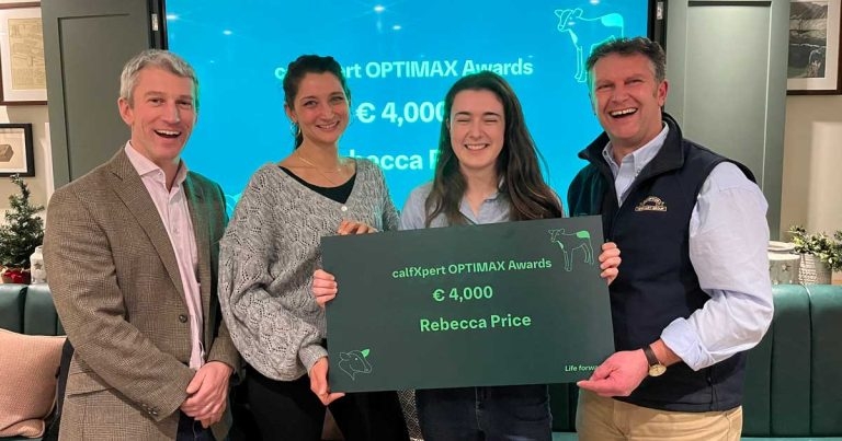 Study – small changes on farm can boost calf liveweight gains