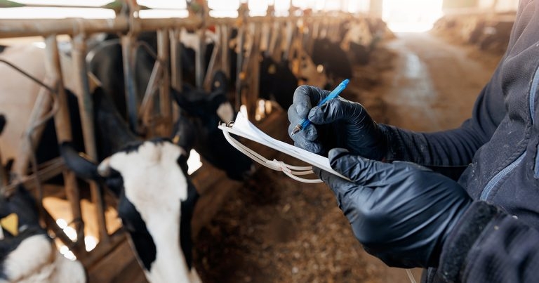 Role of KPIs in herds – a guide to data-driven dairy