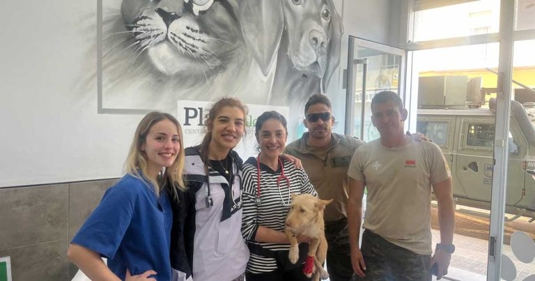 IVC Evidensia supports pets affected by Valencia flooding