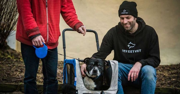 RCVS makes StreetVet Christmas donation