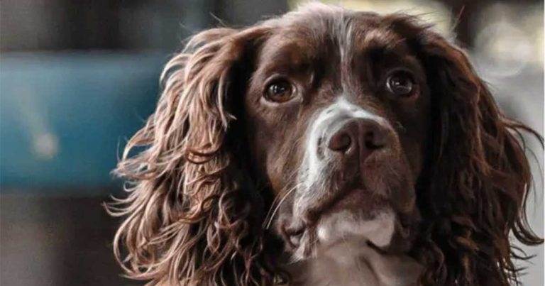 Charity celebrates grant giving milestone