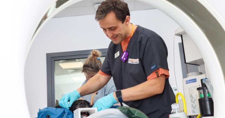 Specialists mark cancer treatment milestone