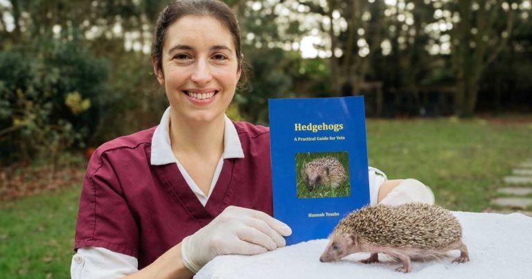 Vet shares knowledge in new book to help save hedgehogs