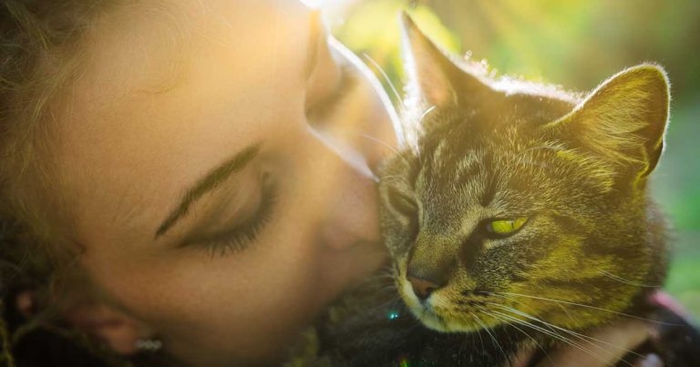 ‘Transformative’ pet well-being study programme launches