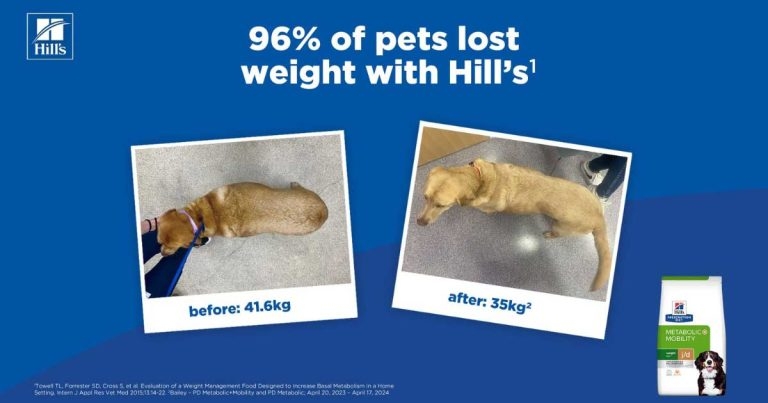 Evidence-based clinical nutrition to support weight management and joint care in dogs