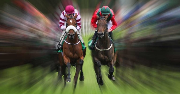 Veterinary input critical to horse sport acceptance, study suggests