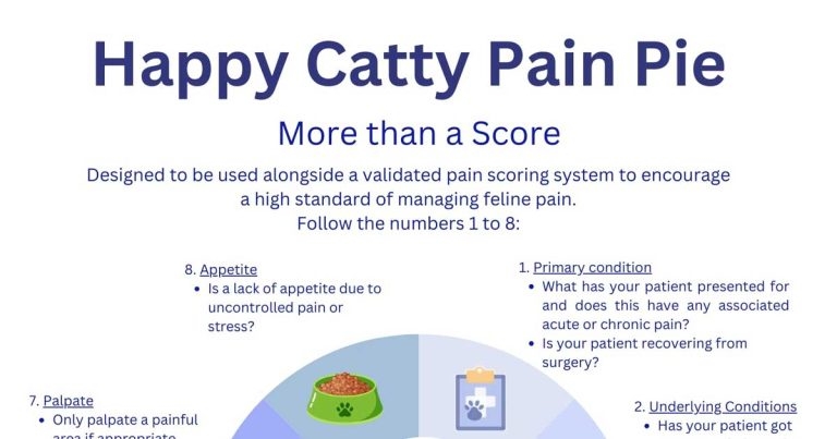 The Happy Catty Pain Pie – it is more than a score