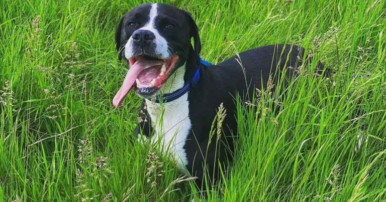 Moores Orthopaedic Clinic celebrates 1,000th patient