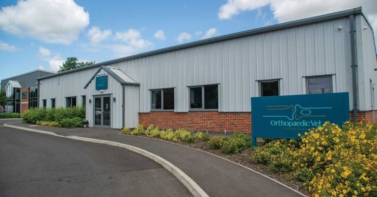 Practice Profile: Orthopaedic Vet