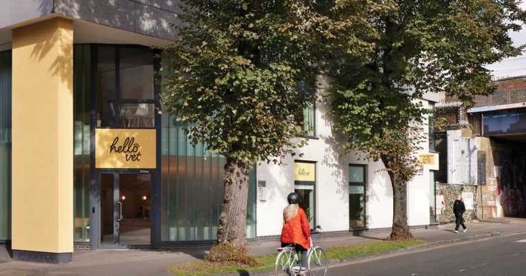 Practice Profile: Hello Vet