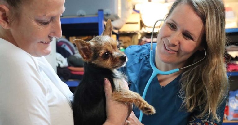 Charity issues veterinary plea for Together support