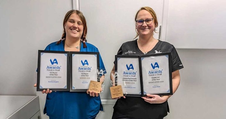 Winners of Burgess Excel Vet Awards named