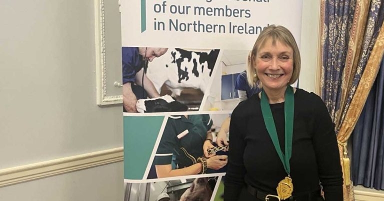 Clock ticking for NI medicine resolution, new vets’ leader warns