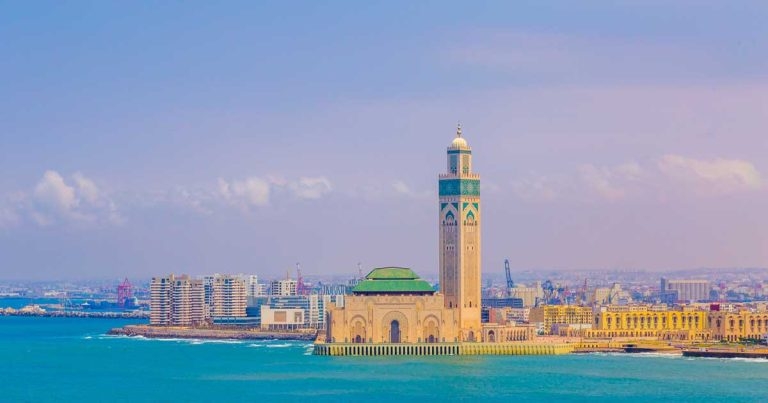 Vet group calls for FIFA World Cup host axe in stray dog row