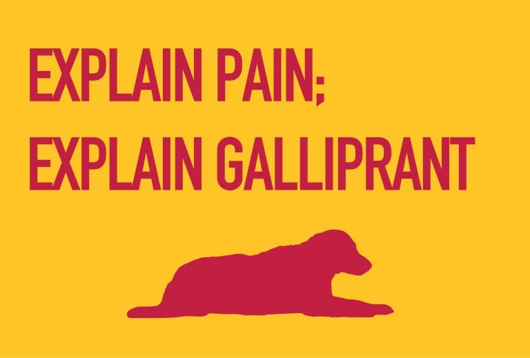 Explaining osteoarthritis pain and Galliprant to pet owners
