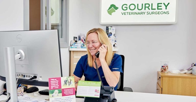 CVS unveils receptionist profession pathway scheme