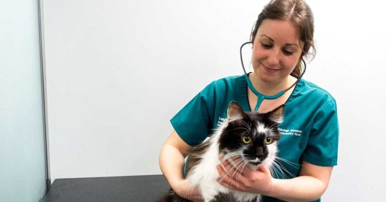Applications open for veterinary nursing residency and internship at Langford