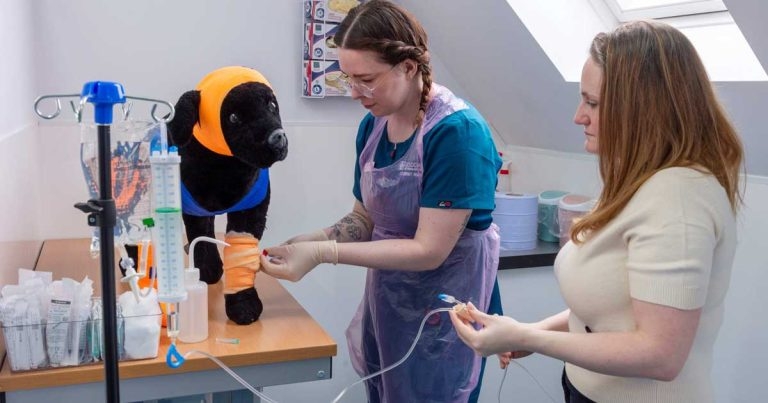 Nursing college unveils new clinical hub