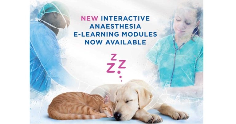 Virbac rolls out interactive anaesthesia CPD
