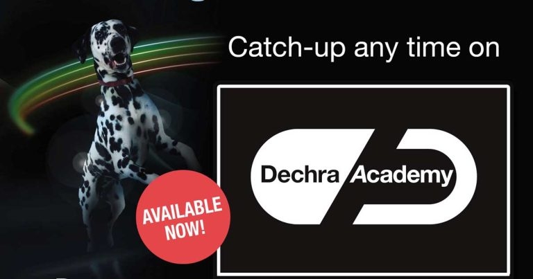 Bitesize canine Cushing’s syndrome series on Dechra Academy