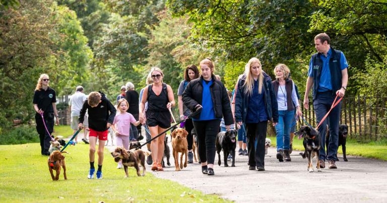 VNs hit road with free pet health checks