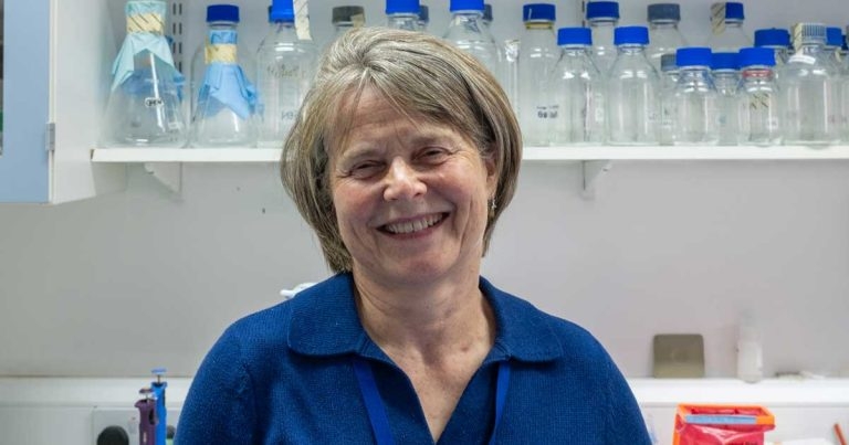 DNA breed breakthrough for dog blindness