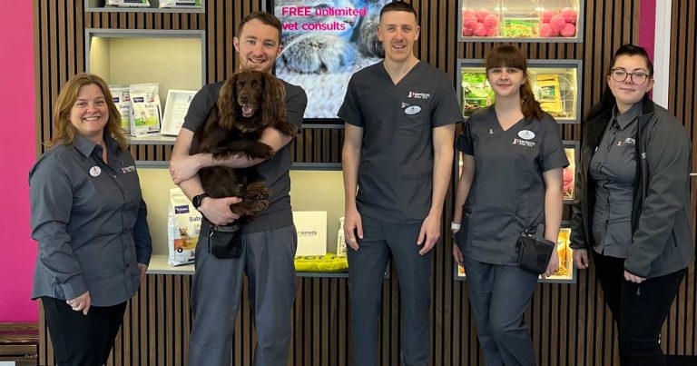 Harrison Family Vets opens eighth practice