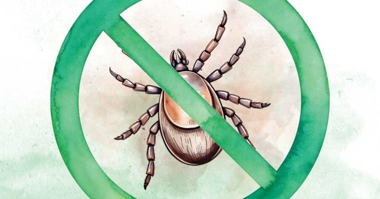 Sustainable parasite prevention – the business case