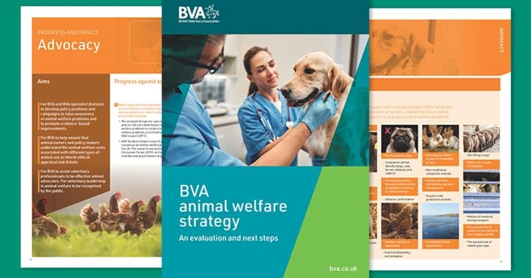 New priorities identified in latest BVA report