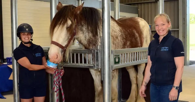 Equine reproduction unit opens in Scotland