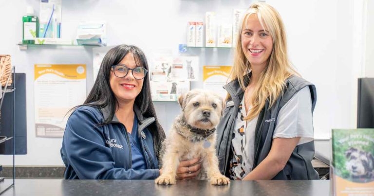 VetPartners unveils receptionist training plan